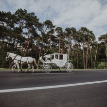 sesja ceremonia ślub